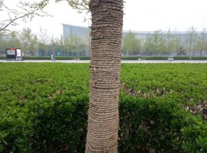 camera_meizu_m3_note_13