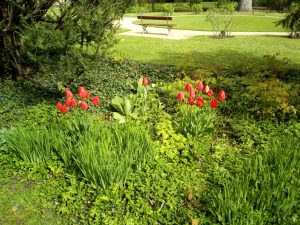 Vernee-Thor-Testbilder-Kamera-9